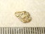 $1 RESERVE - GOLD NUGGET with Pyrex Vial Carousel 1