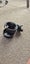 NEW Cup or bottle holder for pram buggy or car Carousel 1