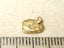 $1 RESERVE - GOLD NUGGET with Pyrex Vial Carousel 1