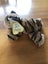 Tiger (soft toy) Carousel 2