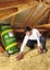 $4.17m2 Insulation R1.8 Less than usual cost Carousel 4