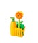 Loading Image 1 of 1