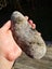 $1 reserve Pounamu carving block MATARIKI MONTH Carousel 6
