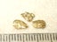 $1 RESERVE - THREE GOLD NUGGETS with Pyrex Vial Carousel 1