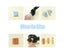 DIY Mosaic Cutters For Glass/Mosaic Stones/Ceramics Plier Nippers 4 Kinds Carousel 5