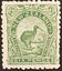 "$1 RESERVE! UNHINGED MINT 6d KIWI 1898 PICTORIALS *CV $800"!!! Carousel 1