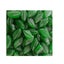 Loading Image 1 of 1