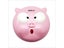 Cute Pig Contact Lenses Case For Women Colored Dog Lens Box With Mirror Travel Carousel 1