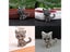 Cute Little Cat Brooches Pin Up Jewelry For Women Suit Hats Clips Antique Carousel 4