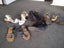 Bulk shoes and boots $1res Carousel 1