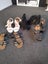 Bulk shoes and boots $1res Carousel 2