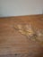 Stephanie Browne headpiece gold wedding rrp$500+ Carousel 3