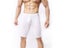 Sexy Men U Pouch Transparent Capris Sexy Ice Silk Pants Low Waist Five Pants Carousel 4