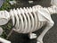 Creepy Halloween Scary 2 headed Dog Orthrus Carousel 5