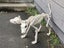 Creepy Halloween Scary 2 headed Dog Orthrus Carousel 7