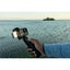 GoPro Hero 13 Black Creator Edition - Complete & Boxed Carousel 7