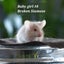 Beautiful little baby girl mice! Carousel 5