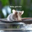 Beautiful little baby girl mice! Carousel 9