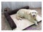 Luxury Dog Bed Sofa Pet Cushion Washable Nest For Big Dogs Carousel 6