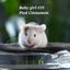 Beautiful little baby girl mice! Carousel 13