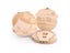 Baby Teeth Save Box Storage Case Carousel 3