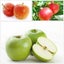 Fruit trees- 4 Assorted apples and plums Carousel 1