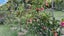 gallery view thumbnail