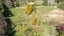 gallery view thumbnail