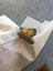 AN ORIGINAL WW1 NAMED MILITARY MEDAL Carousel 3