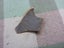 Awesome Ancient Pottery Shard Britain Roman-Belgic Beaker Shard Colchester Carousel 4
