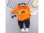 Toddler Cotton Tracksuit Autumn Baby Hooded Jacket Sets Children Boys Girls Carousel 8