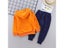 Toddler Cotton Tracksuit Autumn Baby Hooded Jacket Sets Children Boys Girls Carousel 9