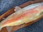Taxidermy trout trophy size. Carousel 3