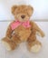 Henry Teddy Bear Carousel 1