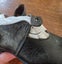 Pair Victorian period child's black leather hob-nail shoes with buttoned strap Carousel 6
