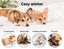 Pawz Electric Pet Heater Bed Heated Mat Cat Dog Heat Blanket Removable Cover Carousel 2