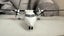 Air New Zealand Link (Air Nelson) Bombardier DHC-8-300Q Dash 8 Pacific Wave Carousel 7