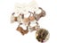 10Pcs/Lot Girl Hair Ties Small Scrunchies Hair Band Flower Bow Carousel 3