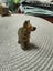 Vintage Wade Alsatian German Shepherd Dog Carousel 2