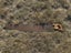 Vintage Cross Cut Saw Carousel 1