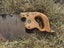 Vintage Cross Cut Saw Carousel 2