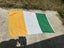 Flag of Ireland Carousel 2