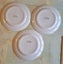 Three brown Telstar on Apollo dinner plates - 25.5cms Carousel 6