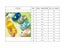 Kids Childrens Slipper Boys Shoes Carousel 9