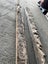 Ancient Swamp Kauri Wood for Artworks Carousel 11
