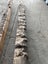 Ancient Swamp Kauri Wood for Artworks Carousel 12