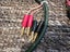 Straight Wire "Rhythm" speaker cable Carousel 3