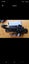 Loading Image 1 of 1