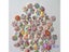 50Pcs 2 Holes Wood Buttons Craft Handmake Scrapbooking Sewing Clothing Carousel 4