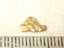 $1 RESERVE - GOLD NUGGET with Pyrex Vial Carousel 1